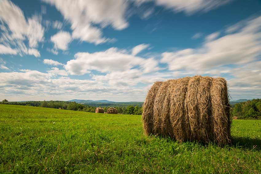 countryside in New Brunswick