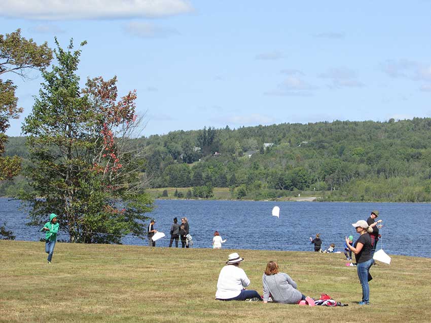 Population New Brunswick Immigration