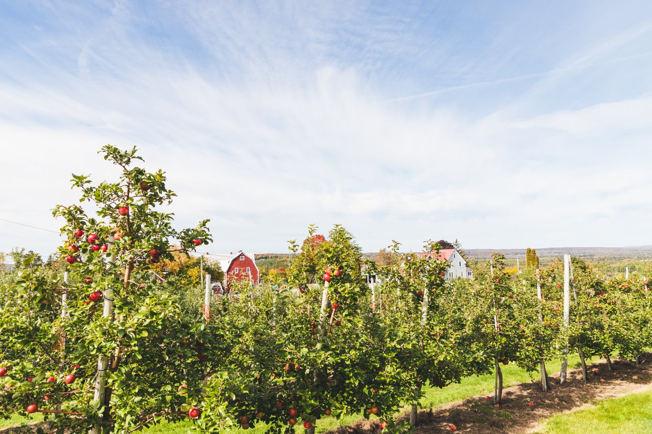 Agriculture & Forests