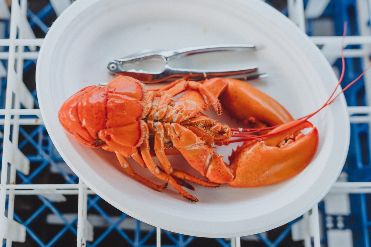 Lobster Shediac Bay Cruises