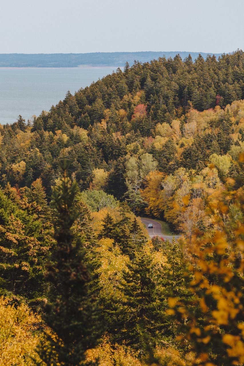 Fundy National Park Of Canada