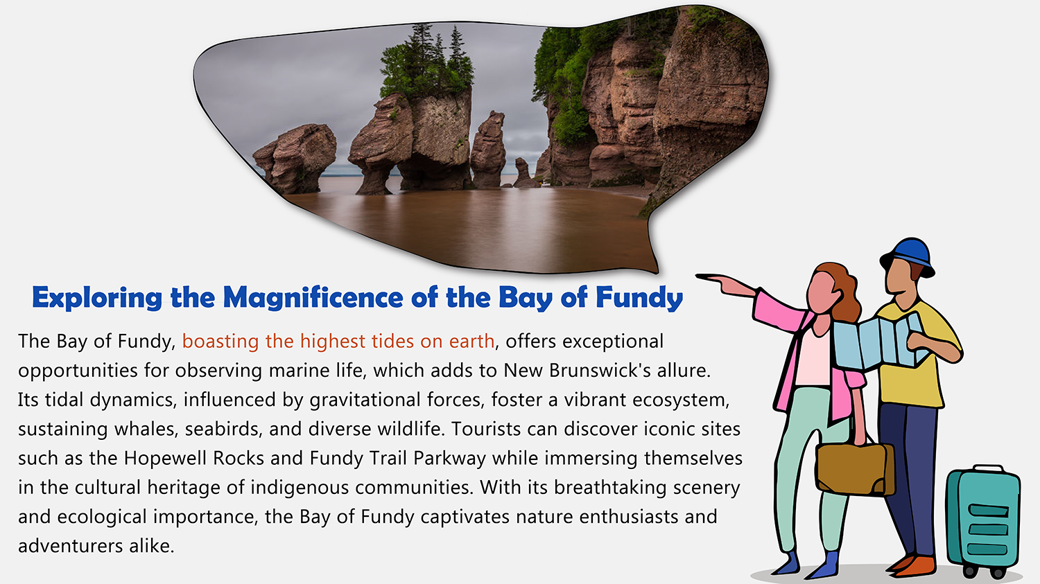 Exploring the Magnificence of the Bay of Fundy, New Brunswick, Canada