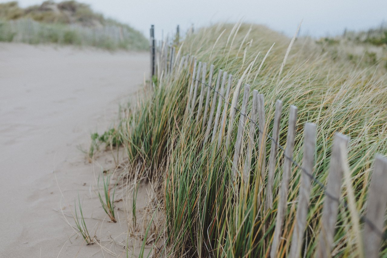 Parlee Beach Provincial Park